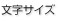 文字サイズの変更