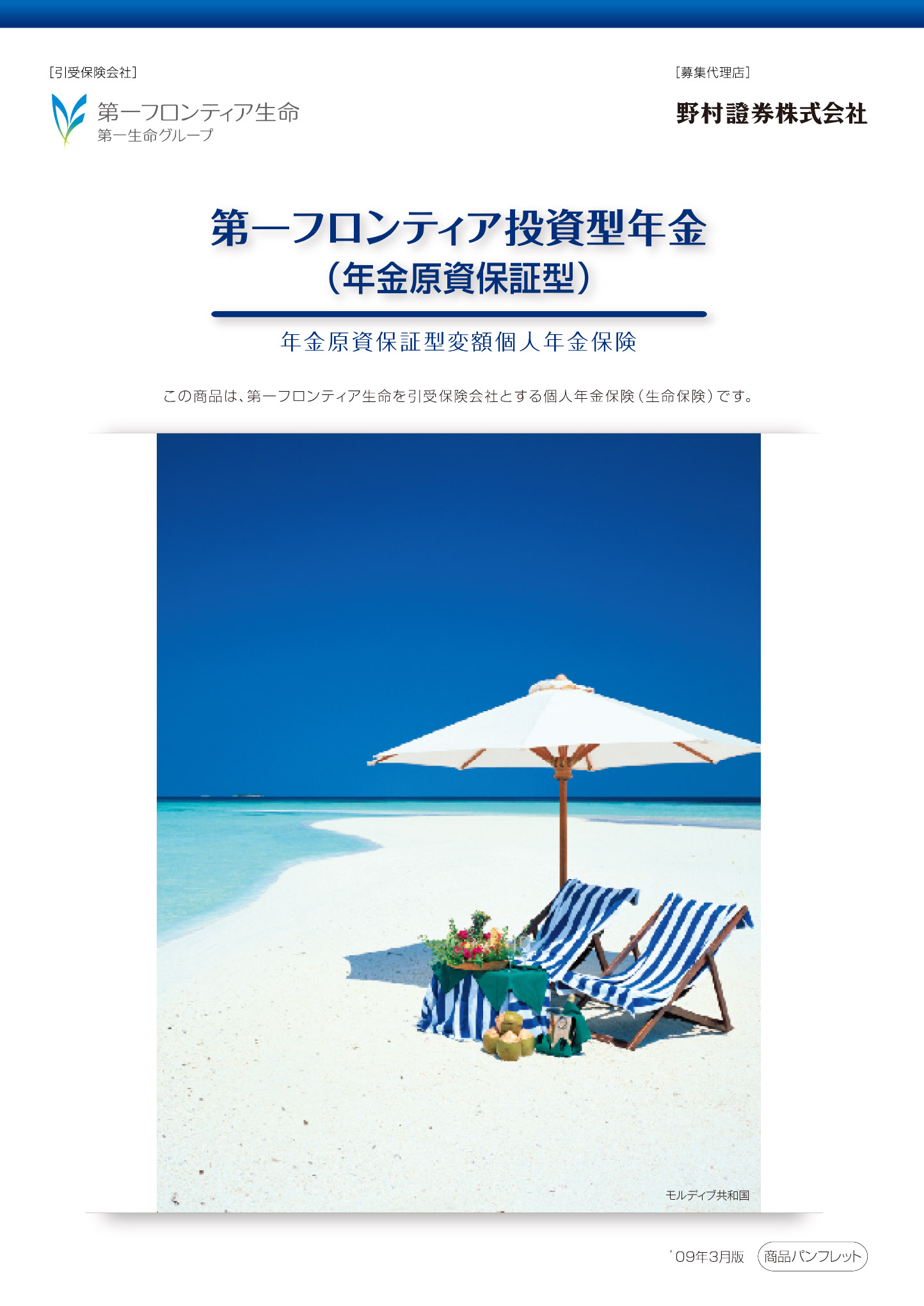 第一フロンティア投資型年金（年金原資保証型）　パンフレット表紙画像