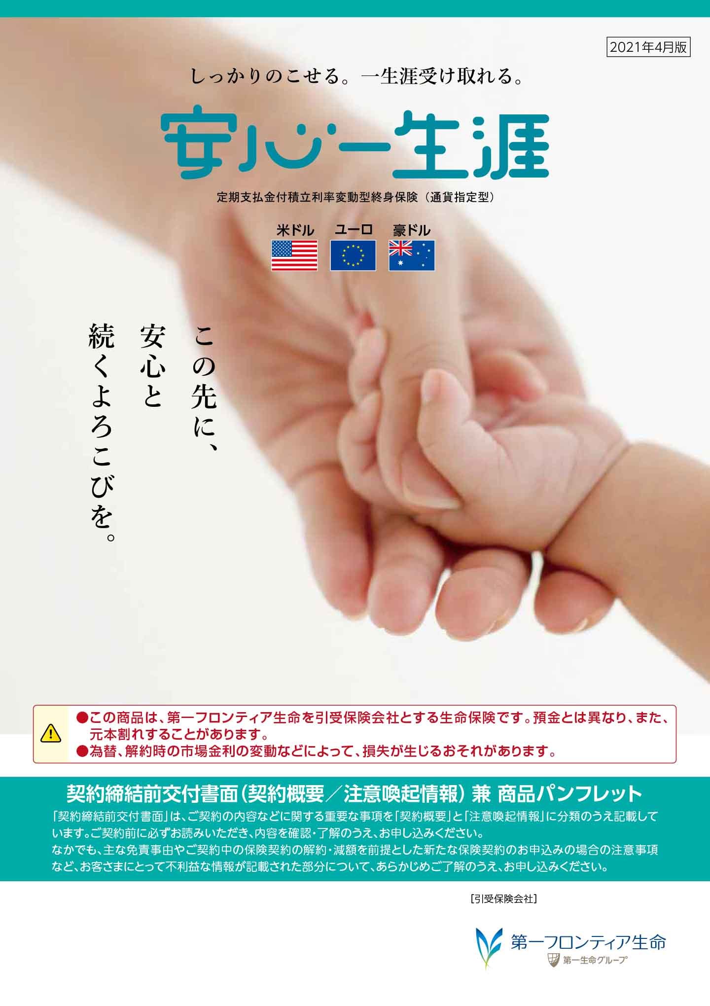 安心一生涯　パンフレット表紙画像