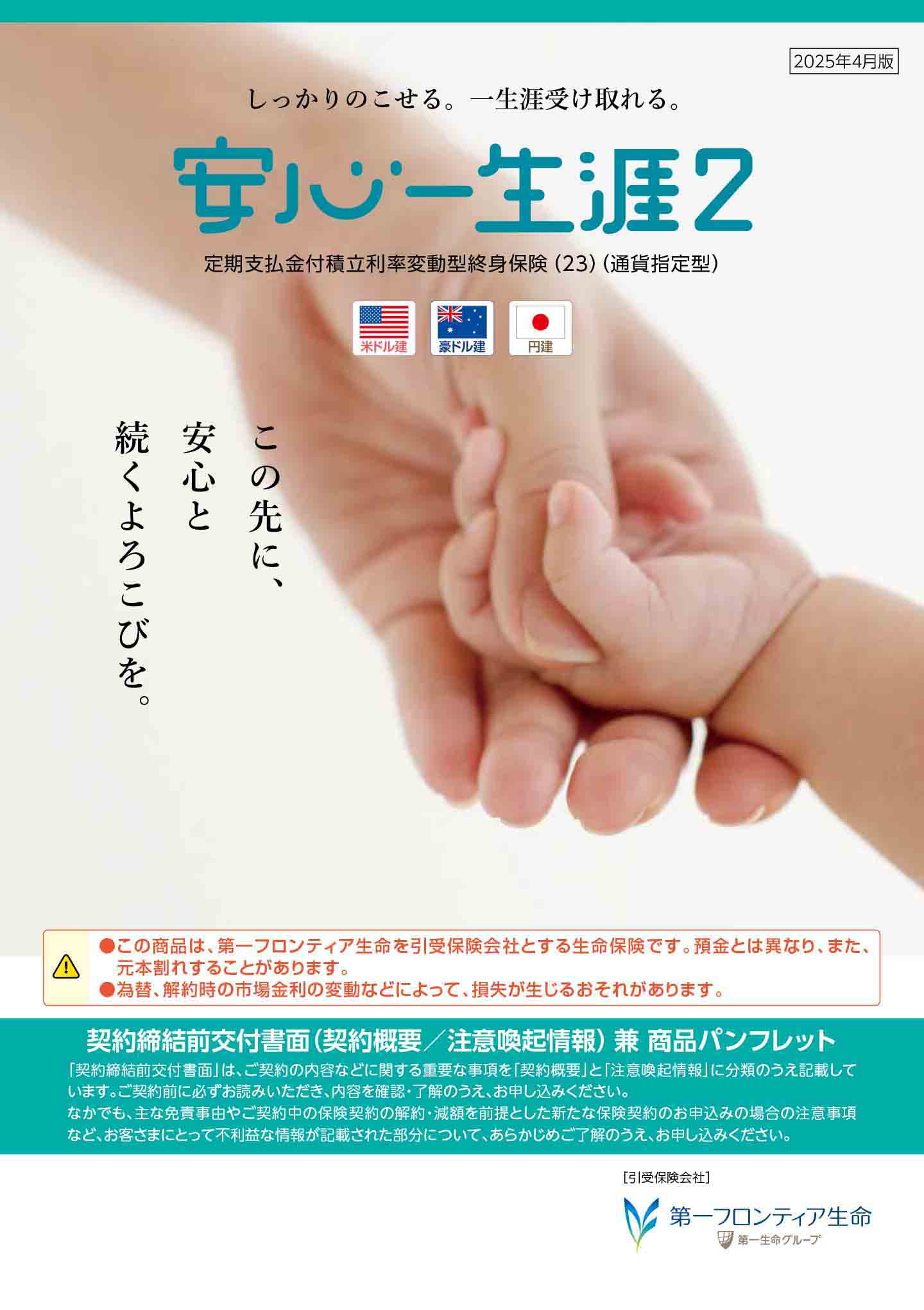 安心一生涯２　パンフレット表紙画像