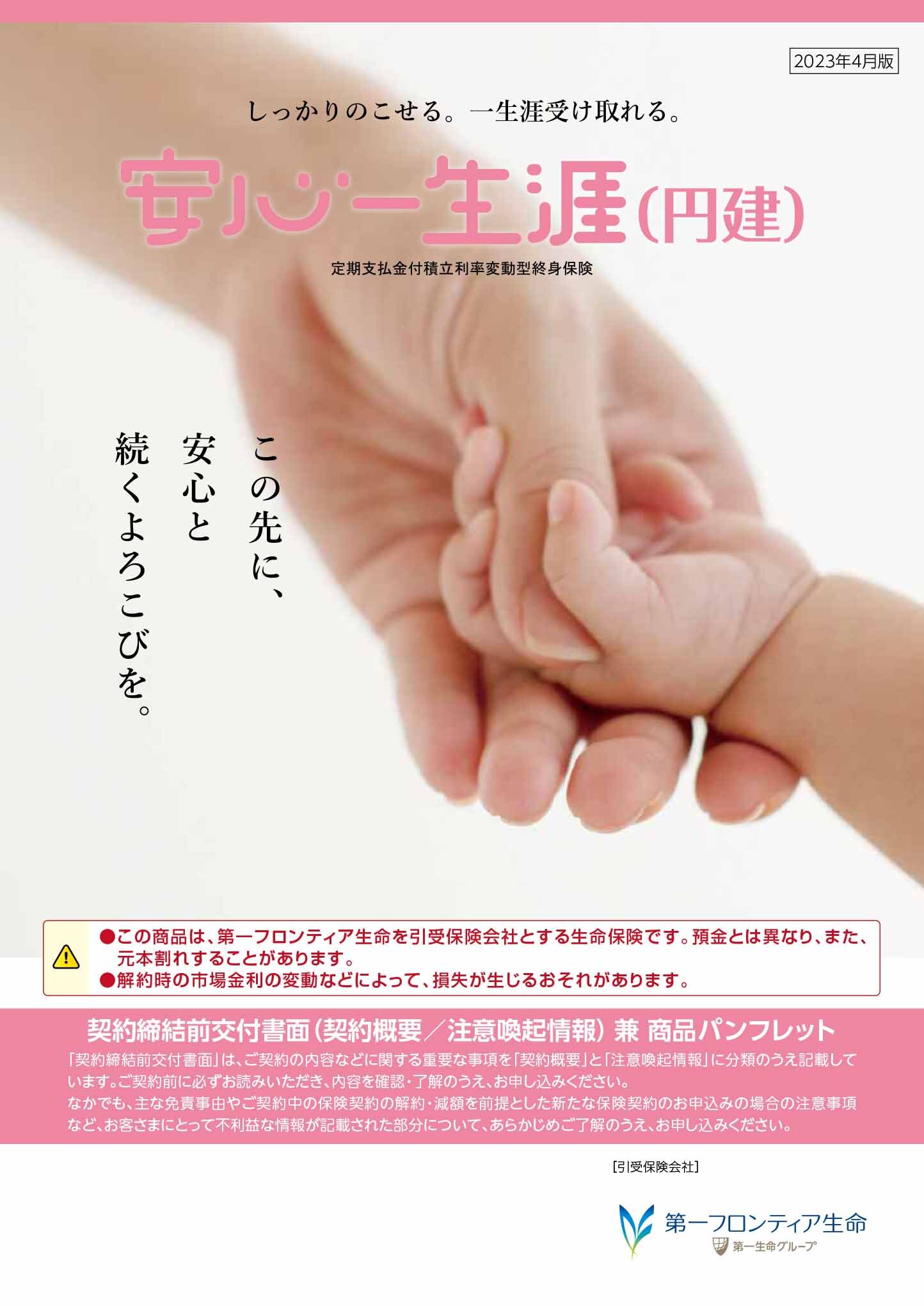 安心一生涯（円建）　パンフレット表紙画像